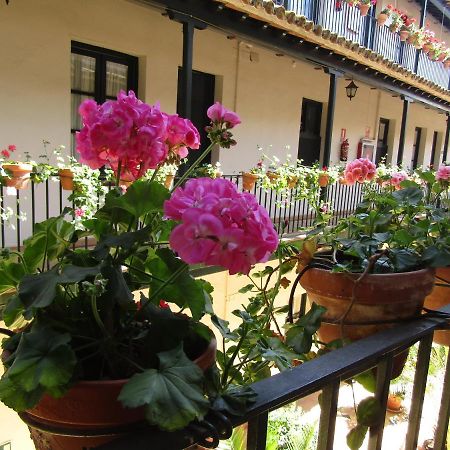 Apartament Apartamento Alameda Sewilla Zewnętrze zdjęcie